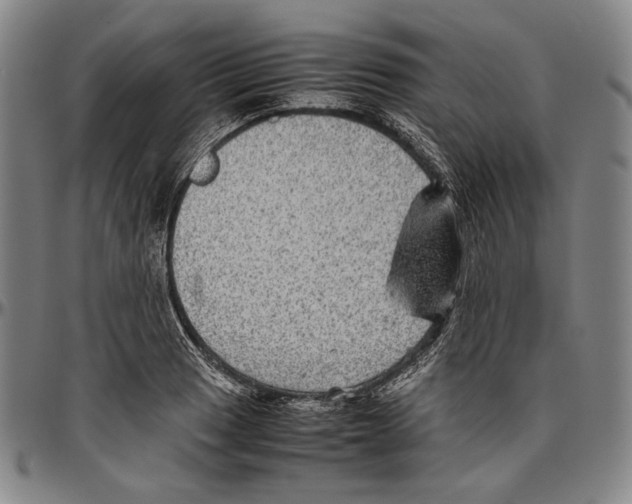 X0000096481033200802211209