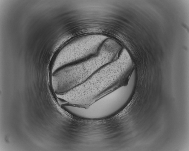 X0000096481034200802211209