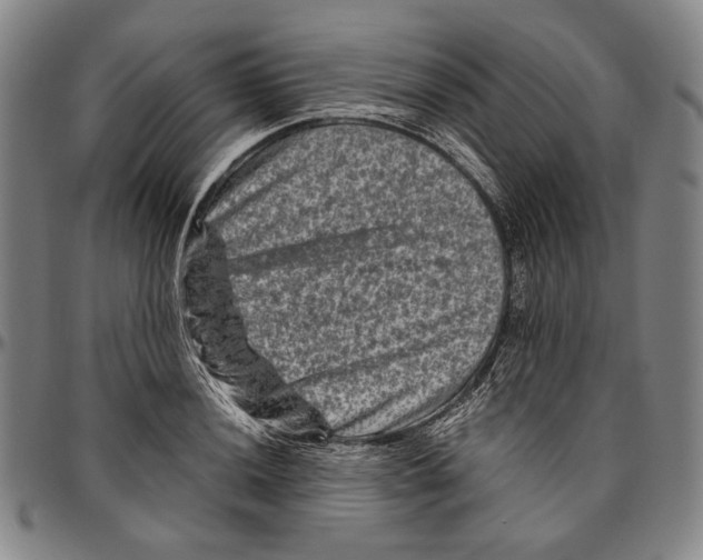 X0000096481036200802211209