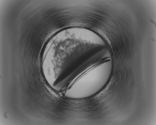X0000096481037200802211209