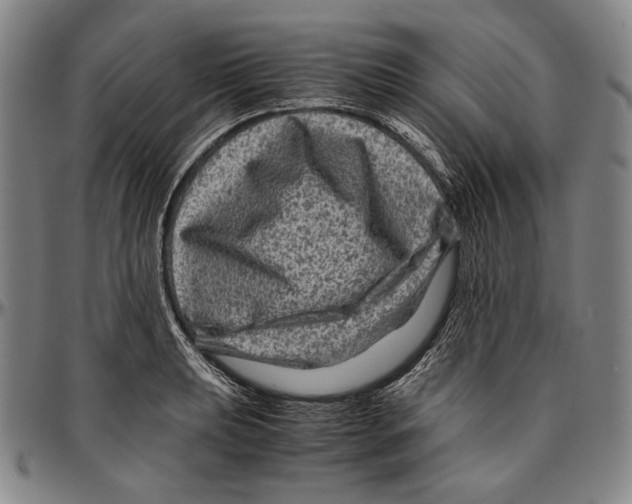 X0000096481039200802211209