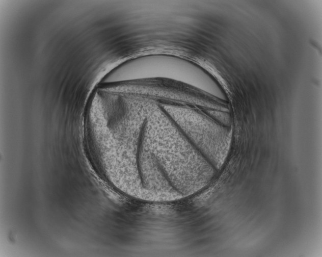 X0000096481040200802211209