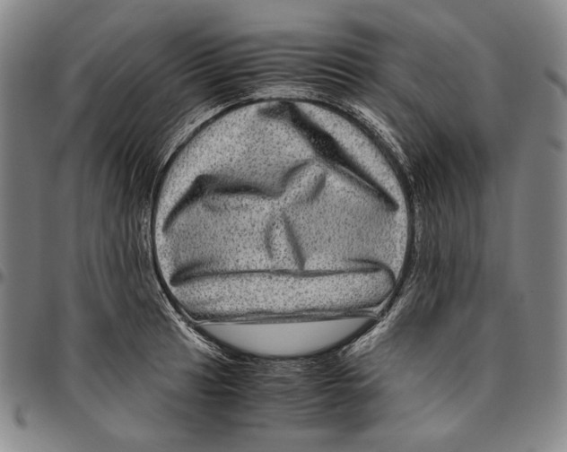 X0000096481041200802211209