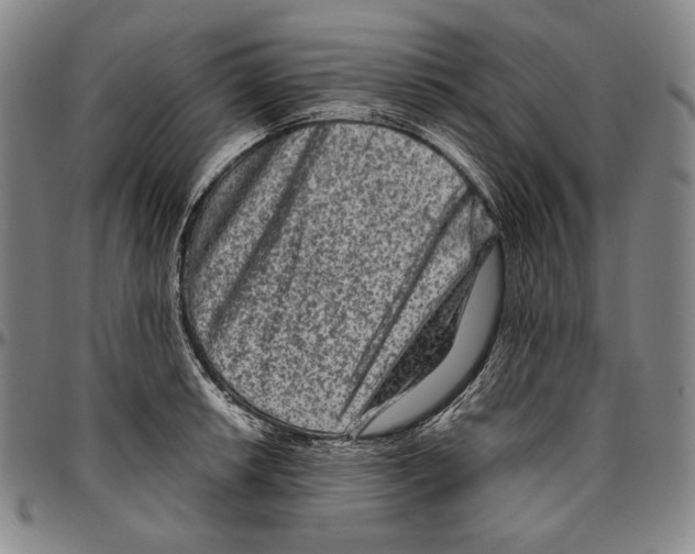 X0000096481042200802211209