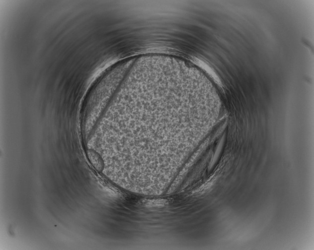 X0000096481043200802211209