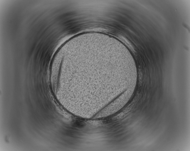 X0000096481044200802211209