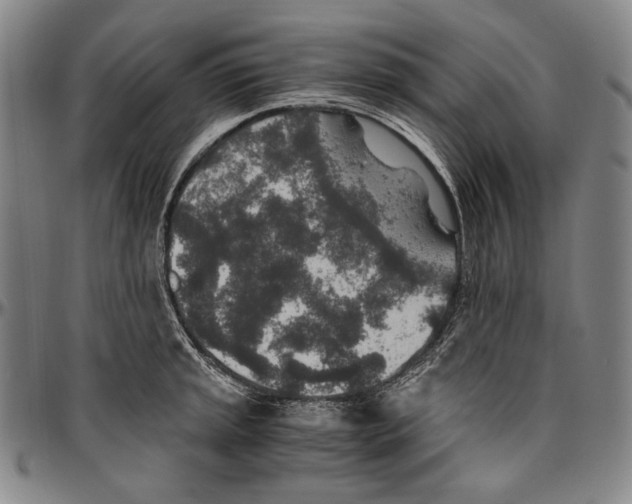X0000096481045200802211209