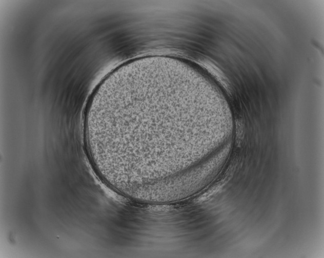 X0000096481046200802211209