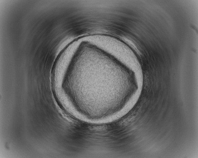X0000096481047200802211209