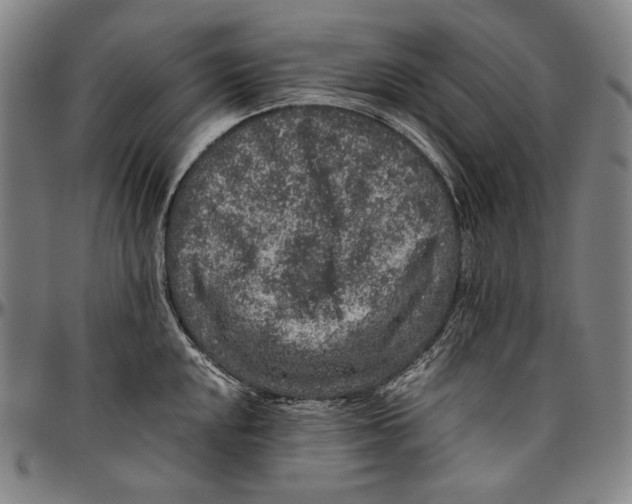 X0000096481048200802211209