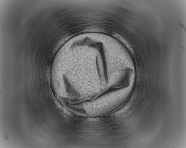 X0000096481049200802211209