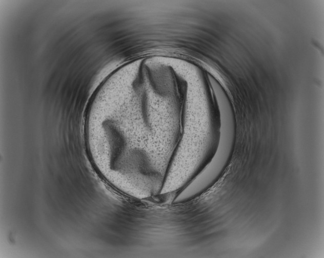 X0000096481050200802211210