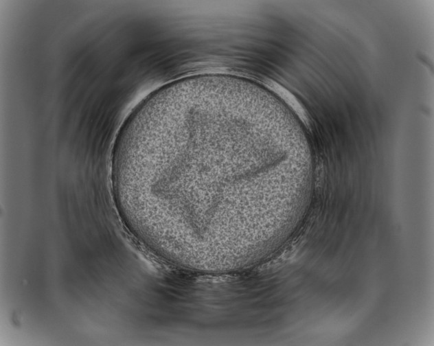 X0000096481051200802211210