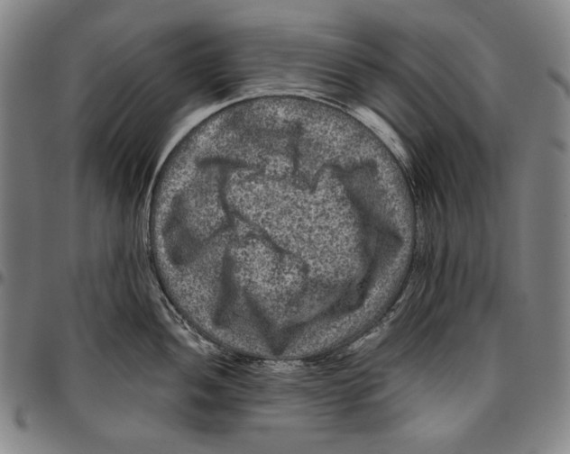 X0000096481052200802211210