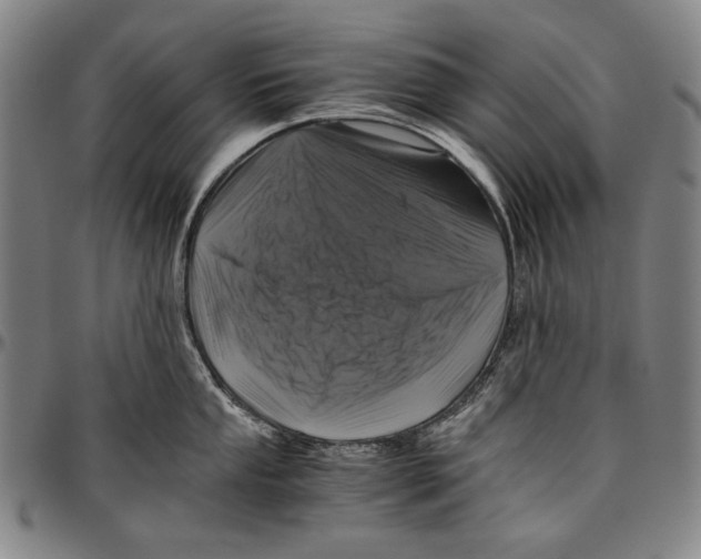 X0000096481053200802211210