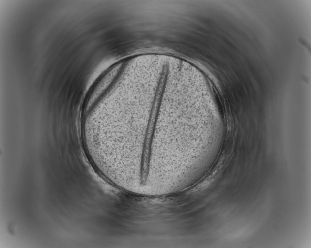 X0000096481054200802211210
