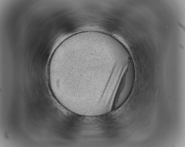 X0000096481056200802211210