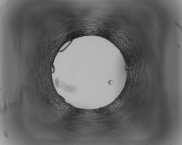 X0000096481057200802211209