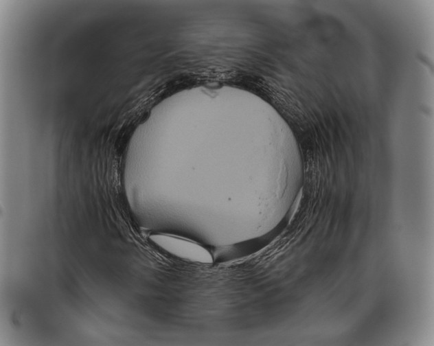 X0000096481058200802211209