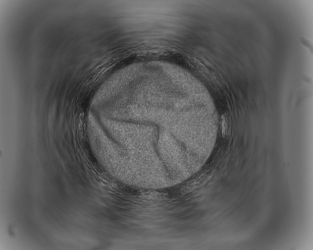 X0000096481059200802211209