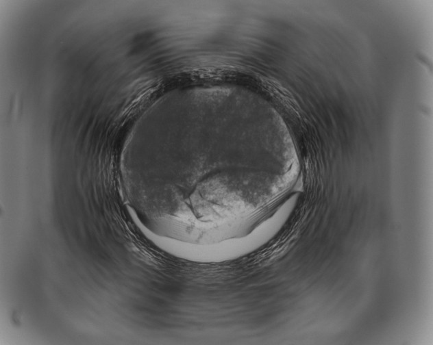X0000096481060200802211209