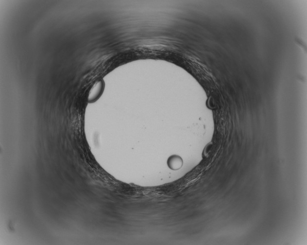 X0000096481061200802211209