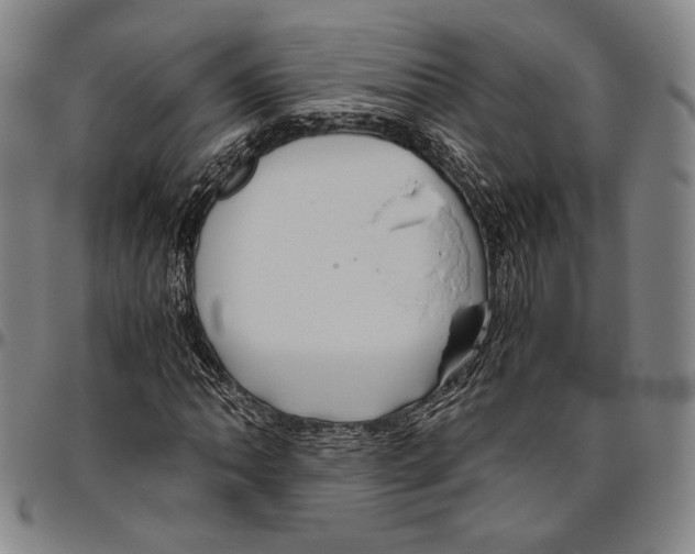 X0000096481062200802211209