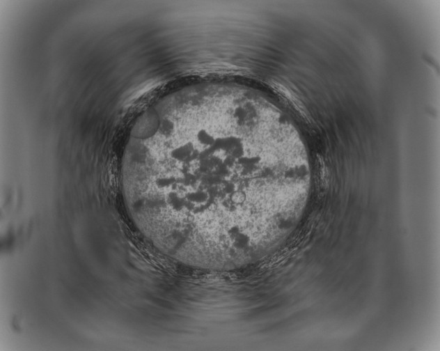 X0000096481063200802211209