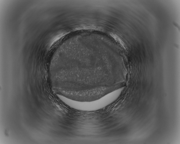 X0000096481064200802211209