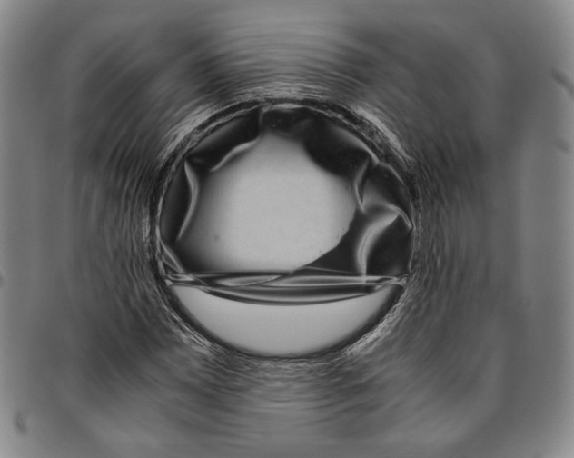 X0000096481065200802211209