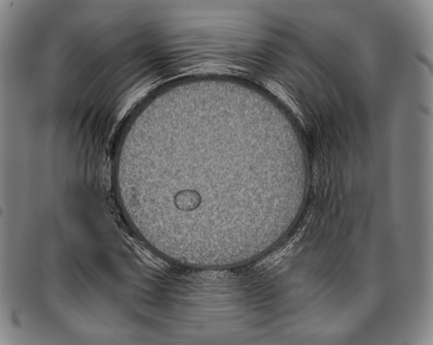 X0000096481067200802211209