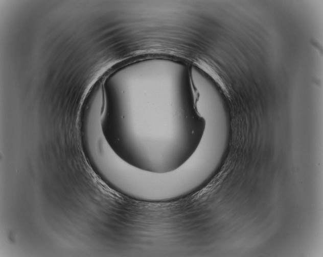 X0000096481068200802211209