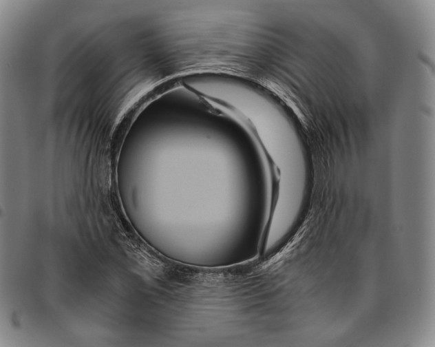 X0000096481069200802211209