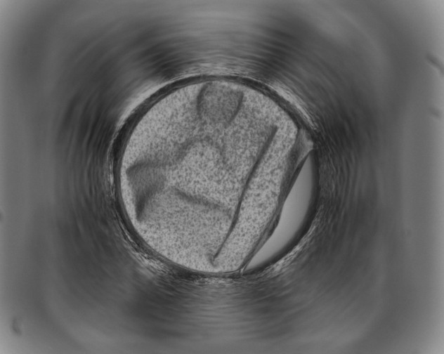 X0000096481070200802211209