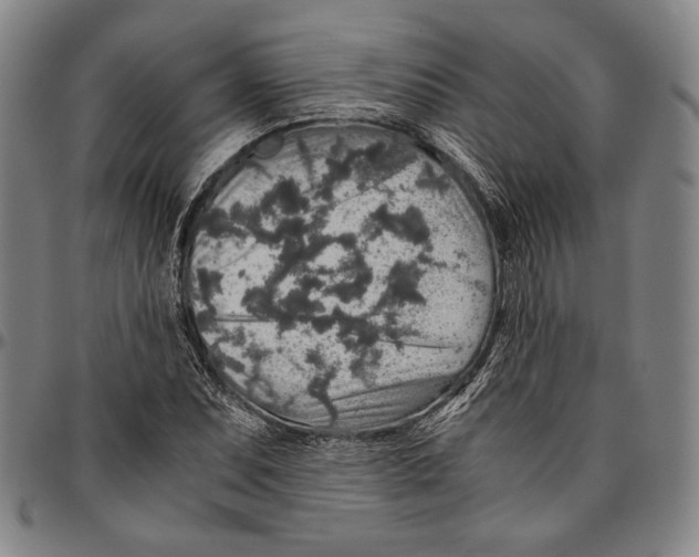 X0000096481071200802211209