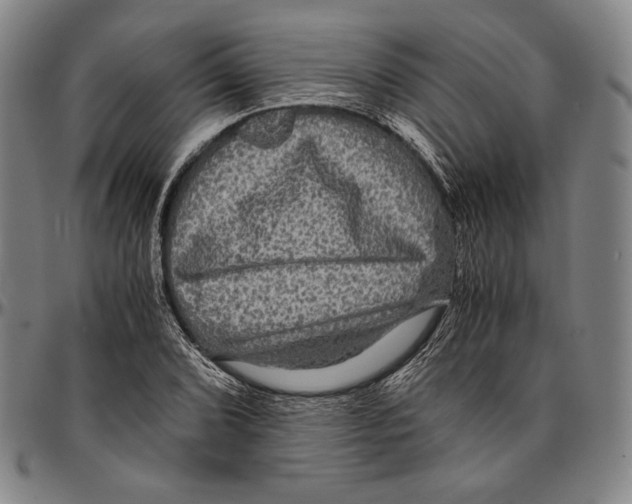 X0000096481072200802211209