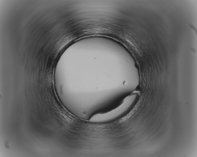 X0000096481073200802211209