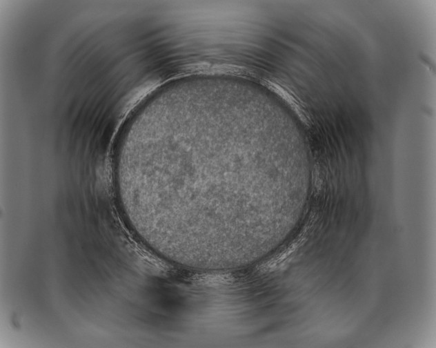 X0000096481074200802211209