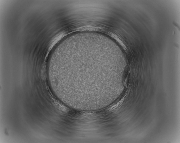 X0000096481075200802211209