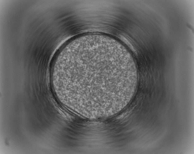 X0000096481076200802211209