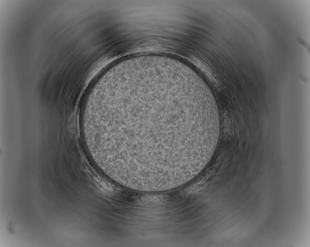 X0000096481078200802211209