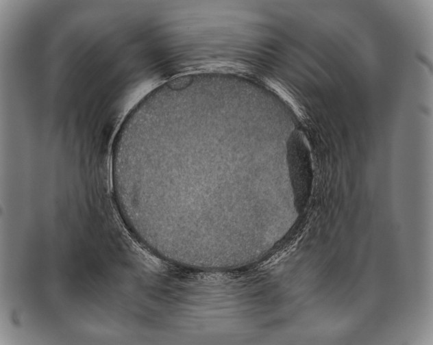 X0000096481079200802211209