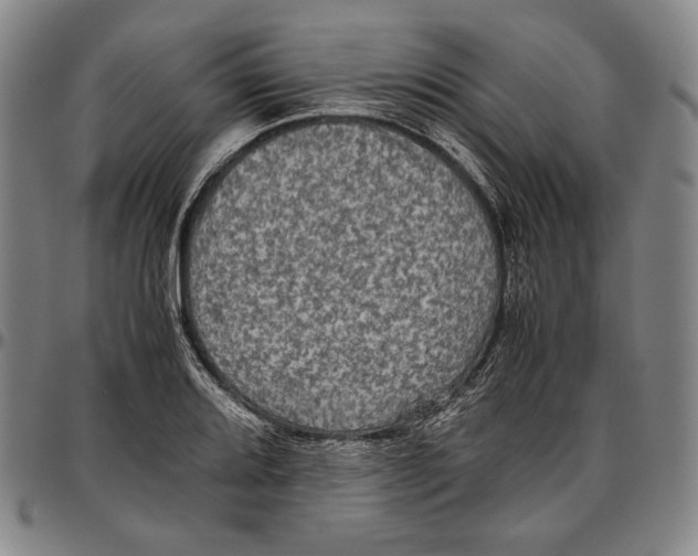 X0000096481080200802211209