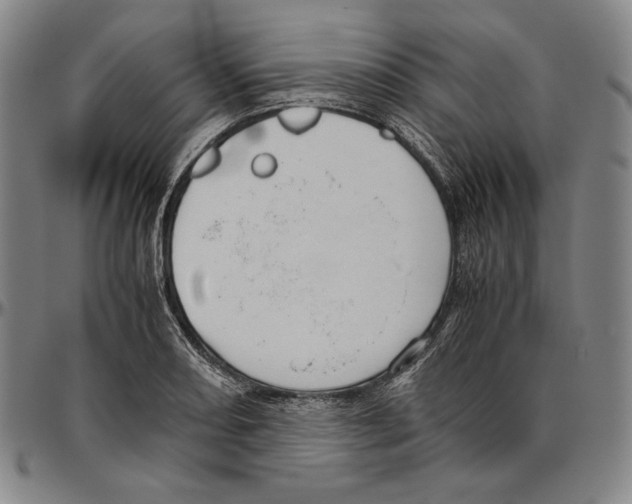 X0000096481082200802211208