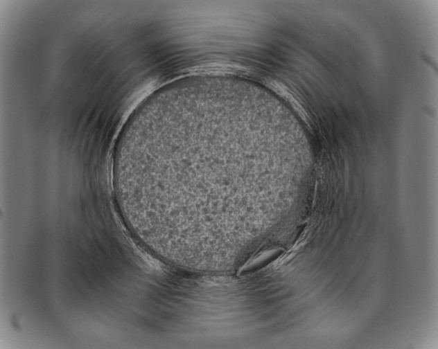 X0000096481083200802211208