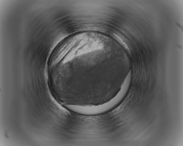 X0000096481084200802211208