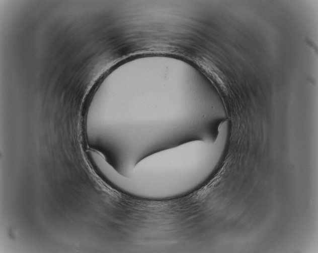 X0000096481085200802211208