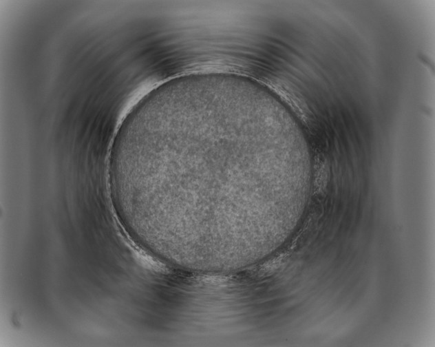 X0000096481086200802211208