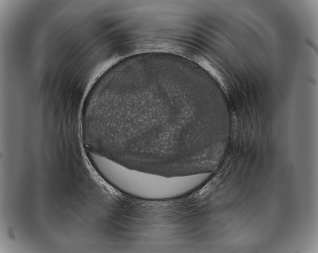 X0000096481088200802211208