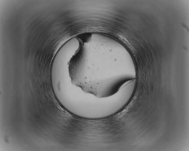 X0000096481089200802211208
